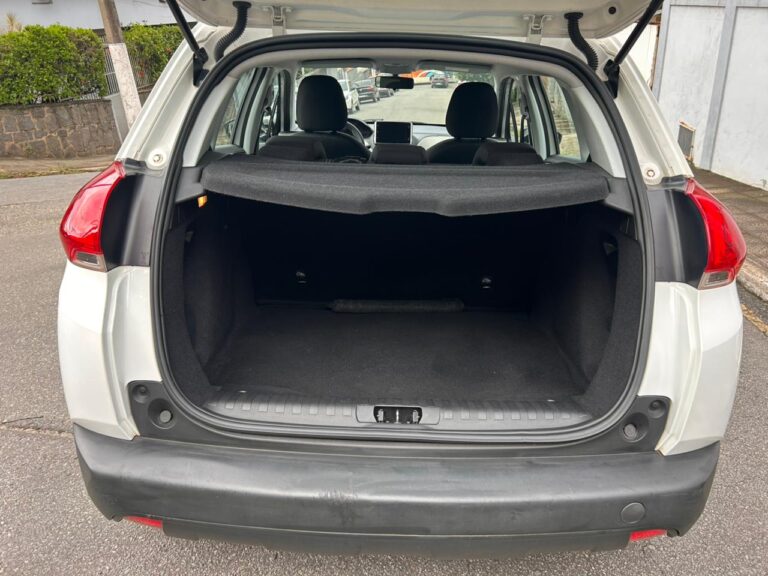 WhatsApp Image 2026-02-04 at 10.30.33 (1)