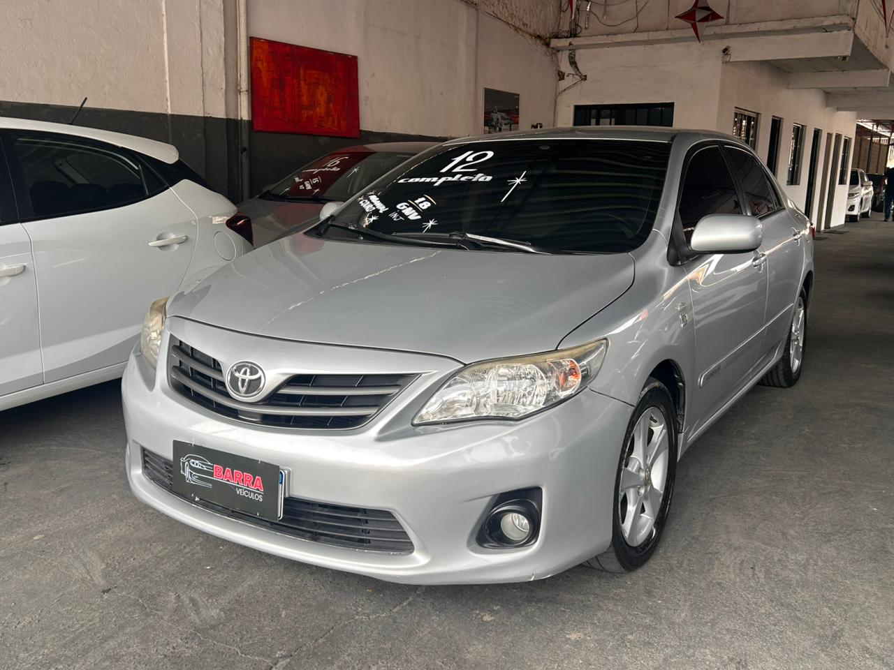 WhatsApp Image 2026-02-11 at 16.05.29