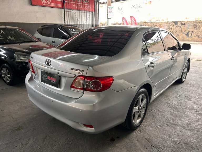 WhatsApp Image 2026-02-11 at 16.05.30 (3)