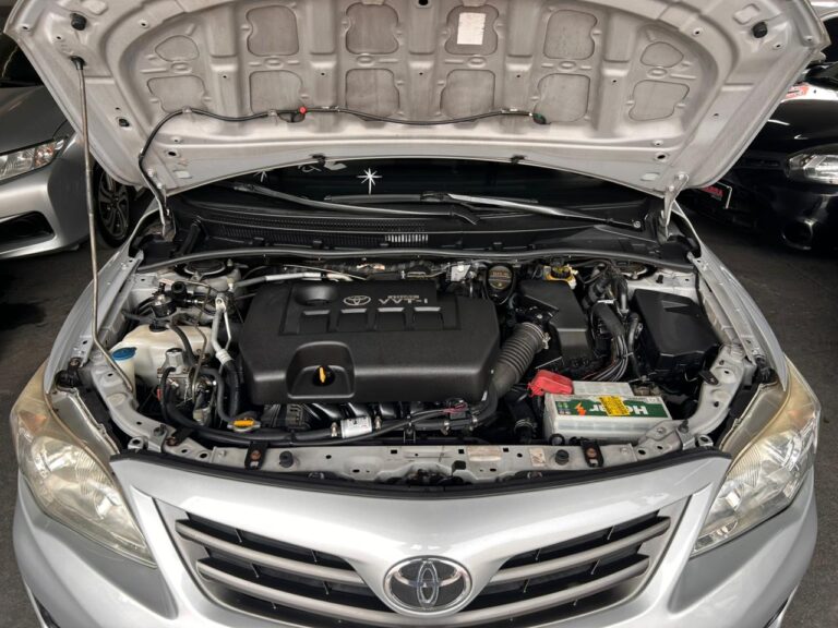 WhatsApp Image 2026-02-11 at 16.05.33 (1)