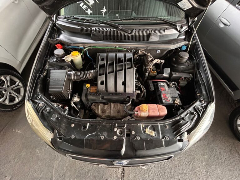 WhatsApp Image 2026-03-19 at 11.41.56